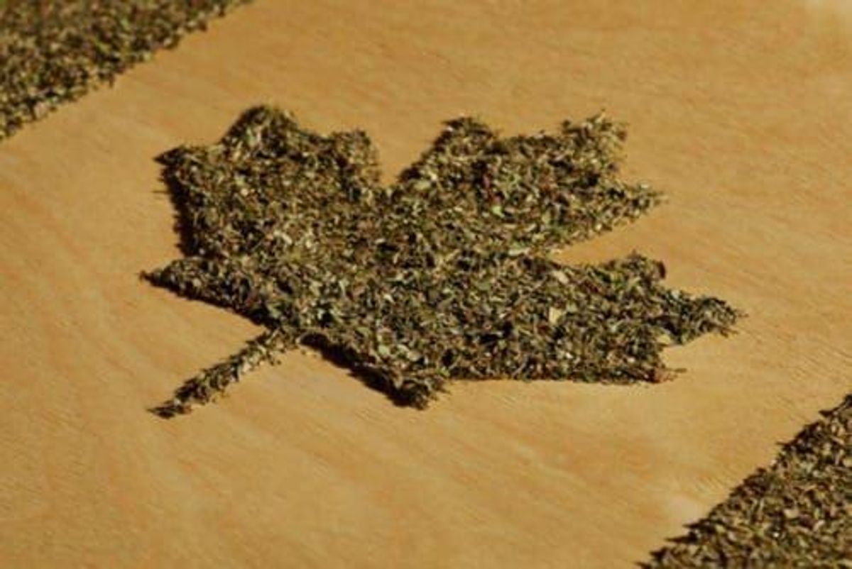 Cannabis Investing