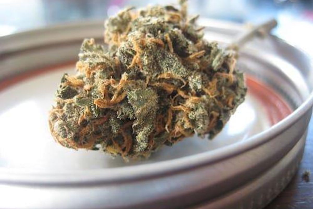 Cannabis Investing