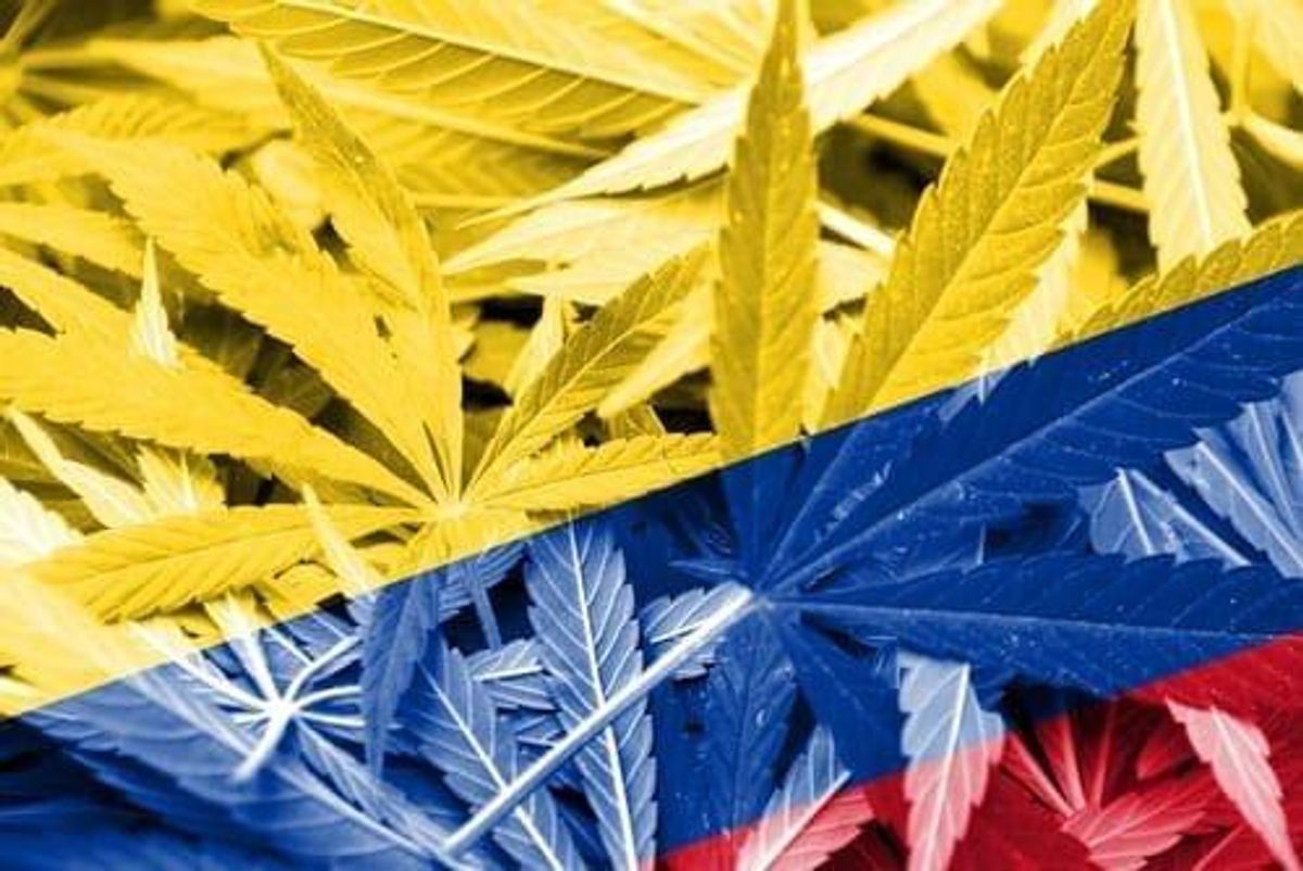 Cannabis Investing