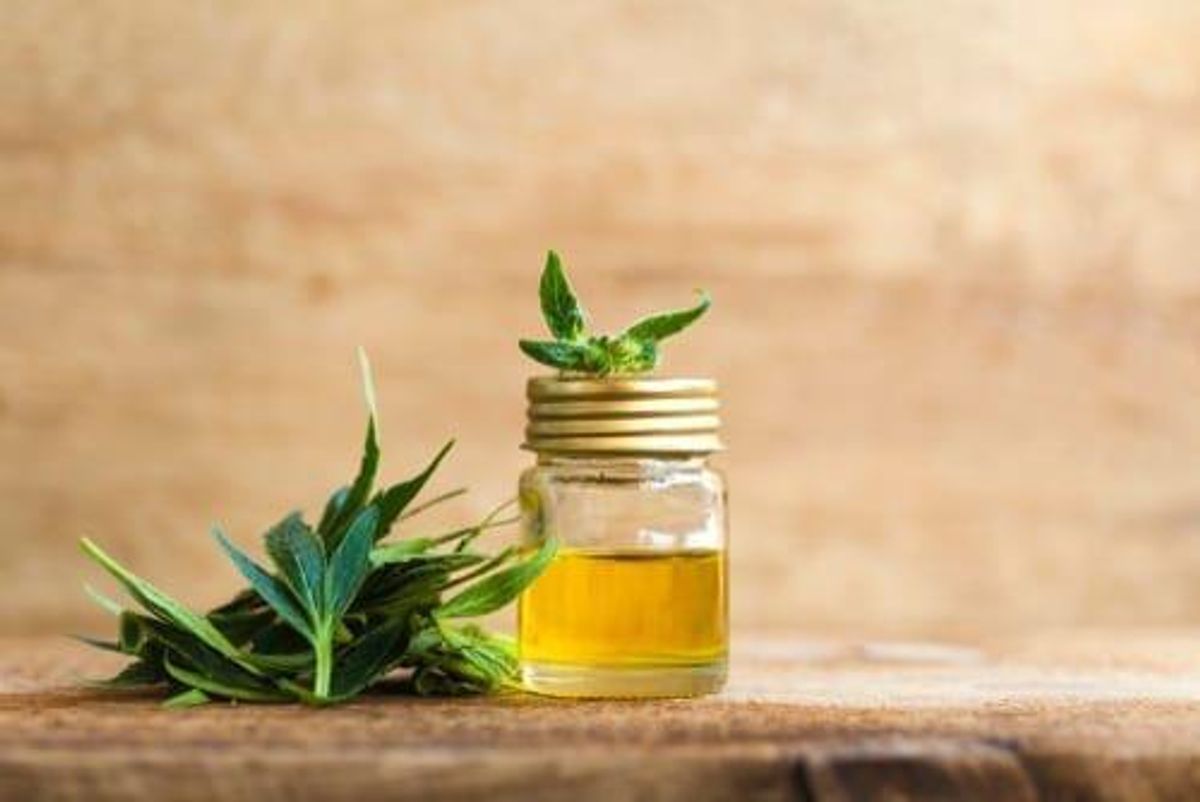 Cannabis Investing
