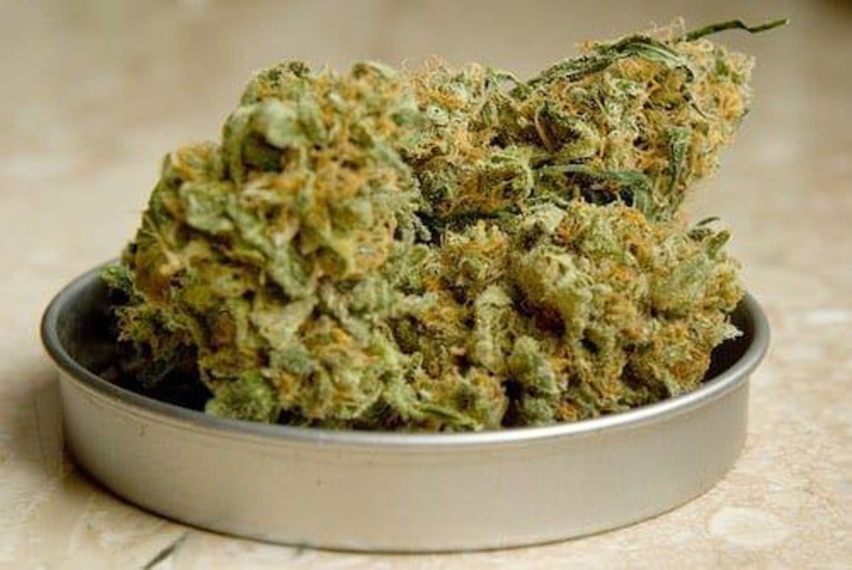 Cannabis Investing
