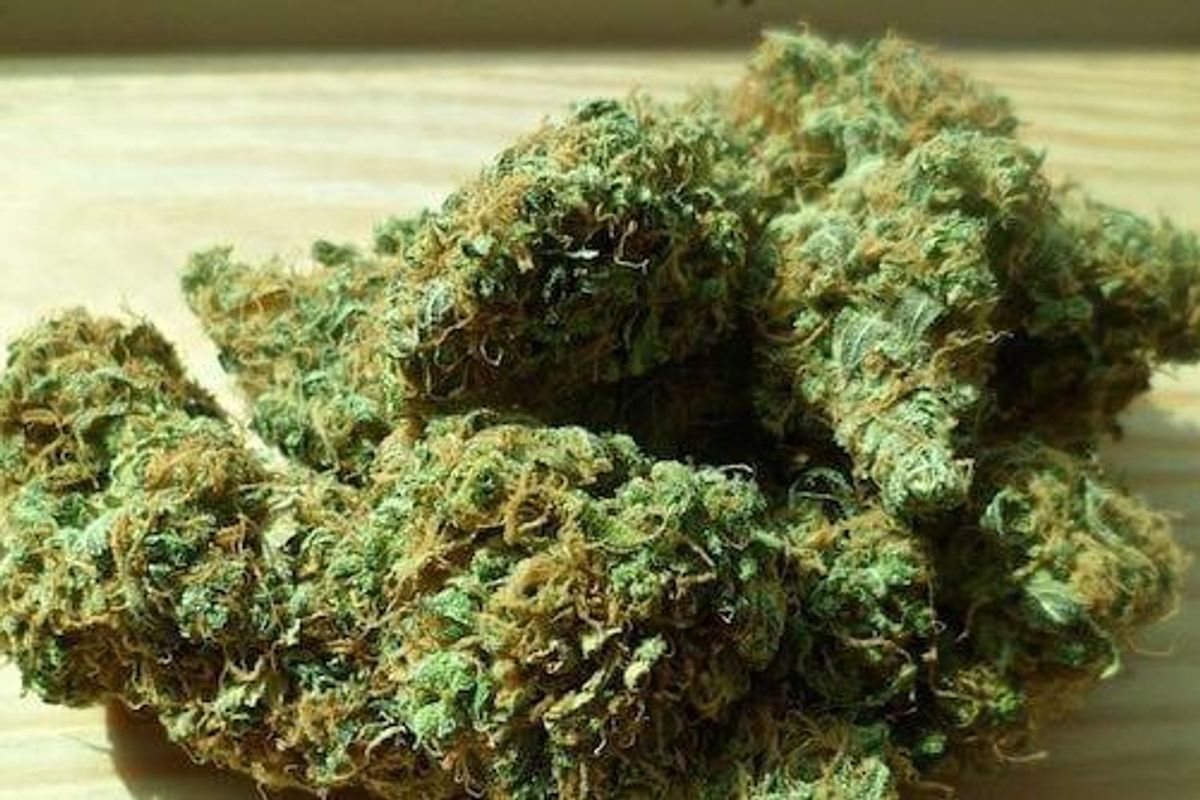 Cannabis Investing