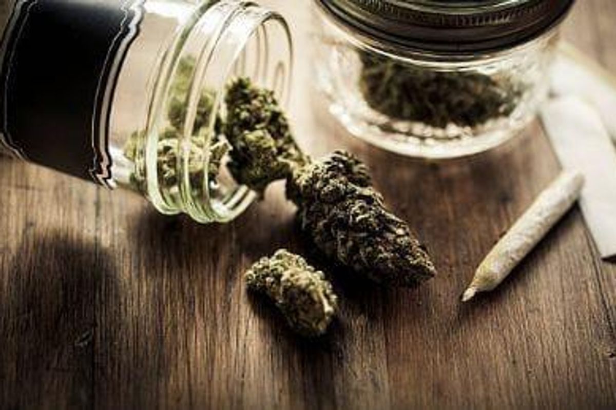 Cannabis Investing