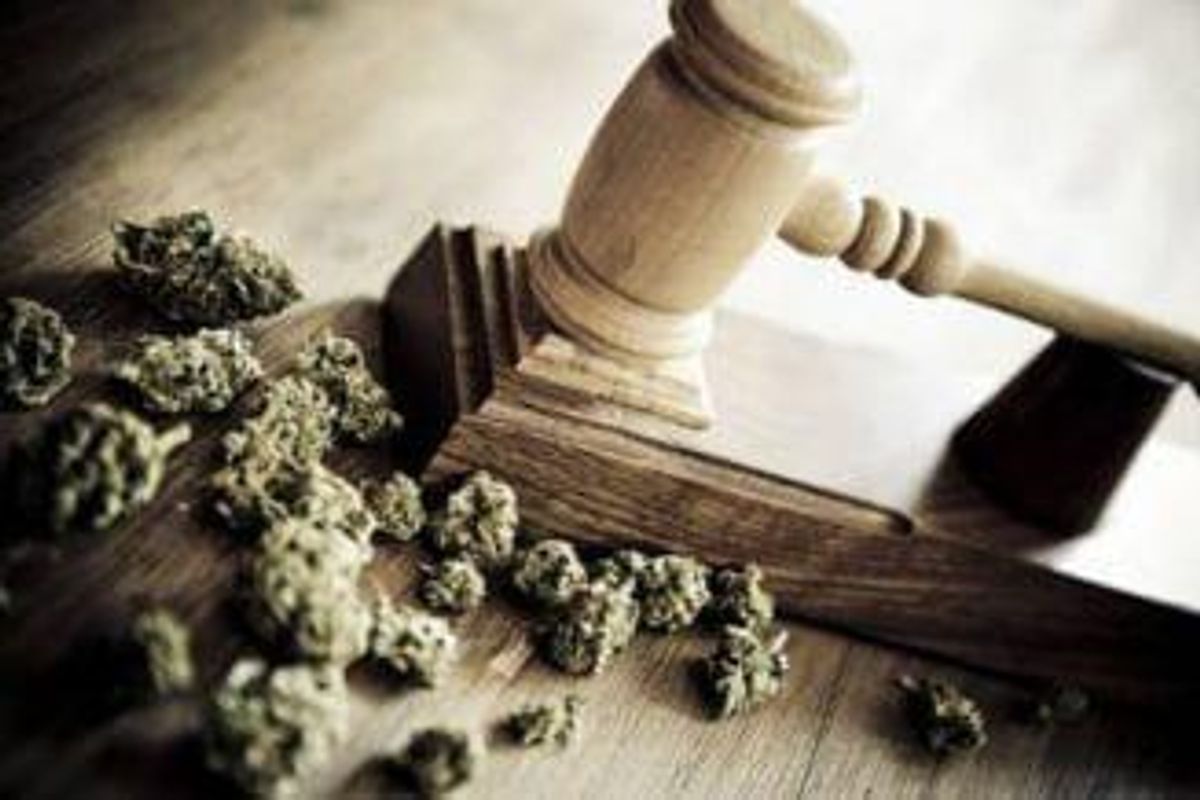 Cannabis Investing
