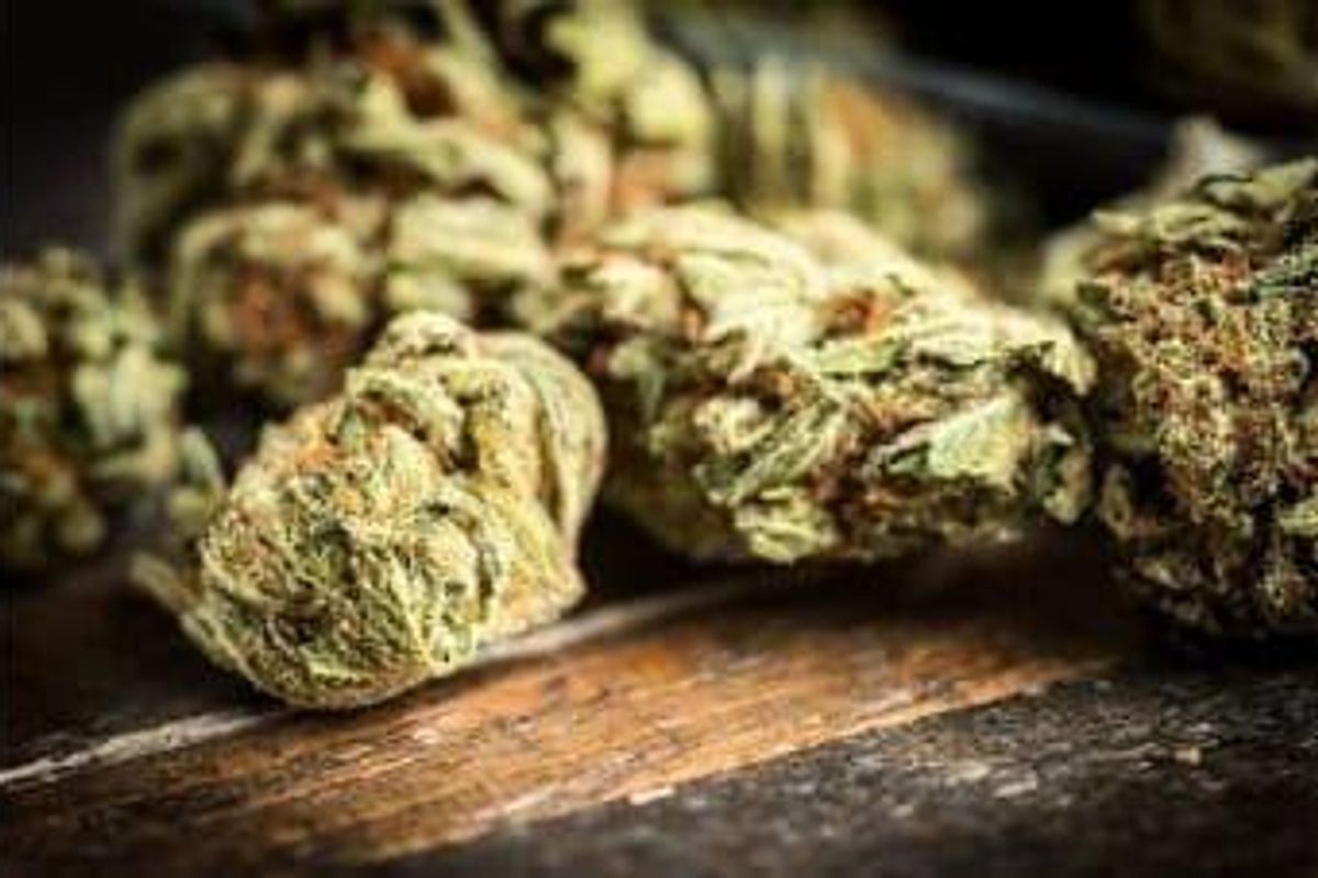 Cannabis Investing