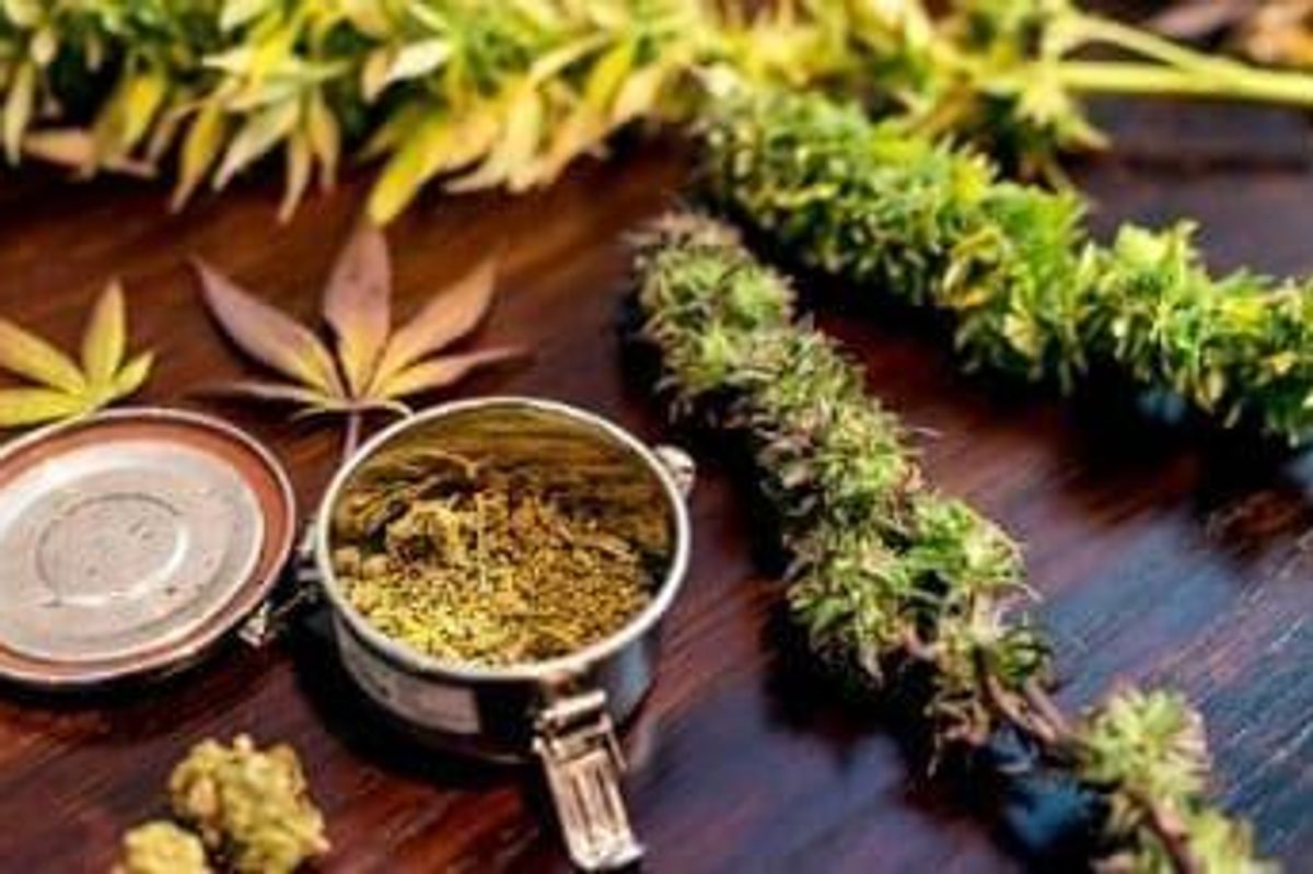 Cannabis Investing