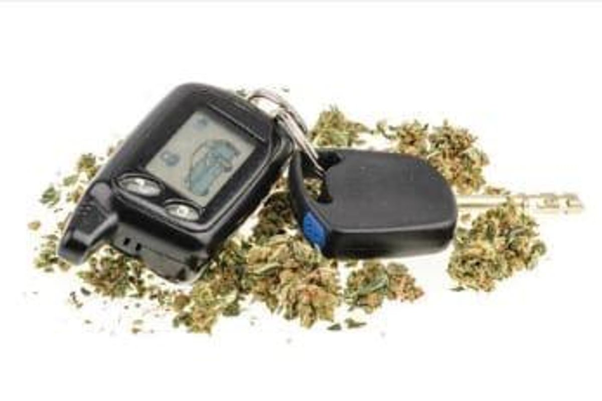 Cannabis Investing