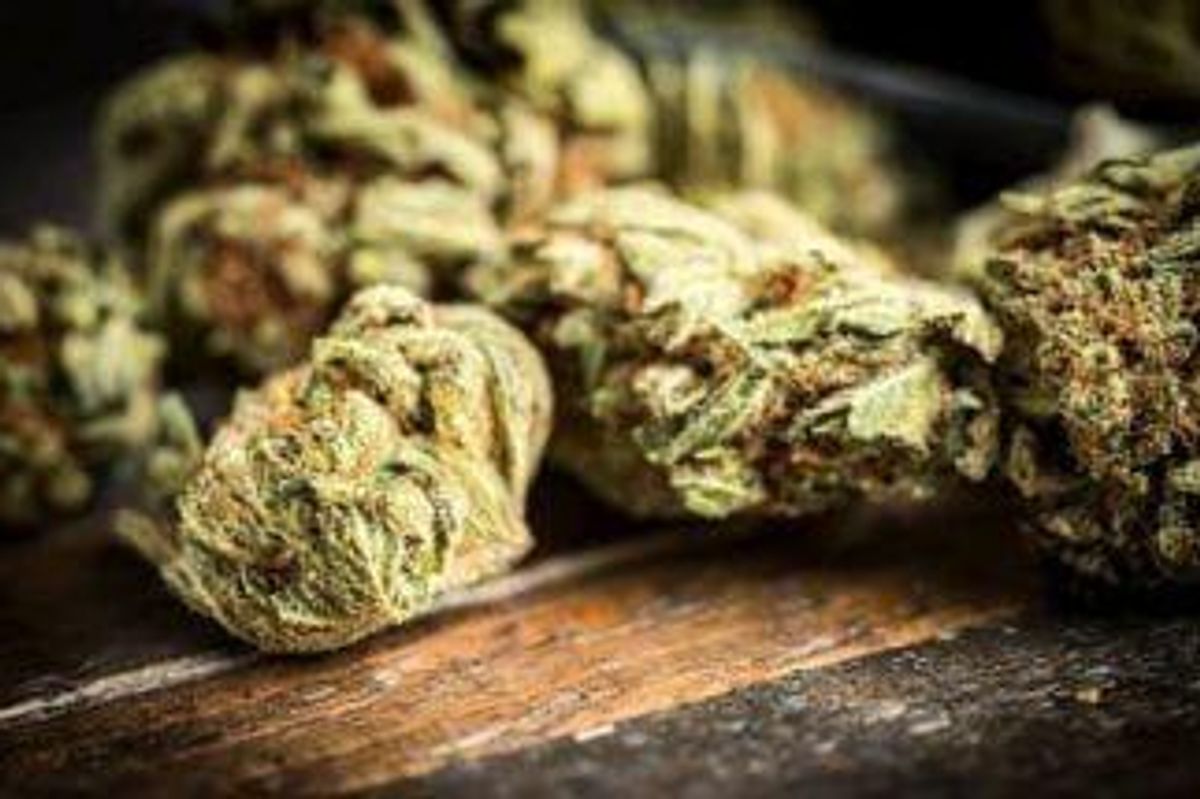 Cannabis Investing