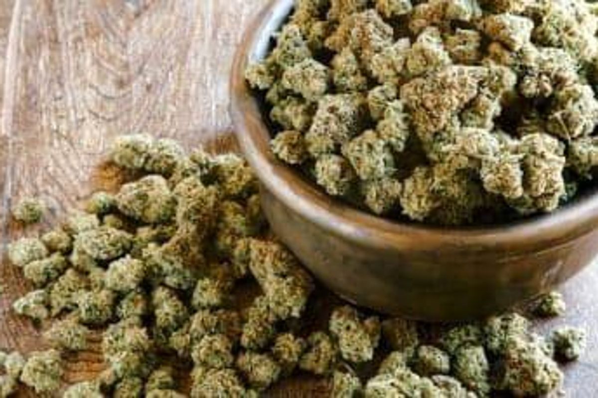 Cannabis Investing