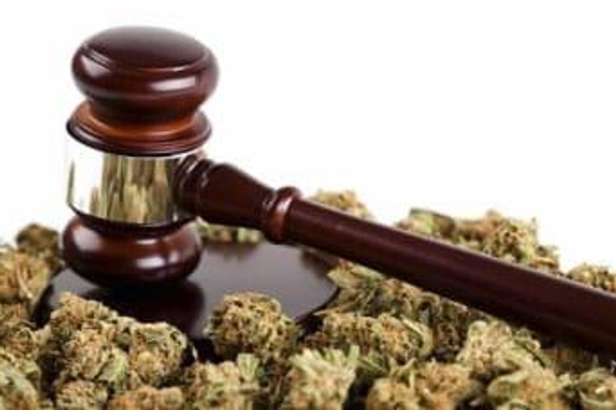 Cannabis Investing