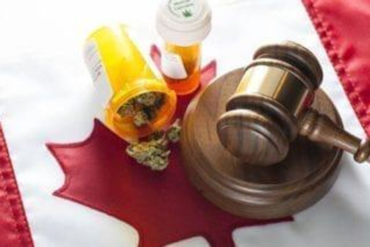 Cannabis Investing