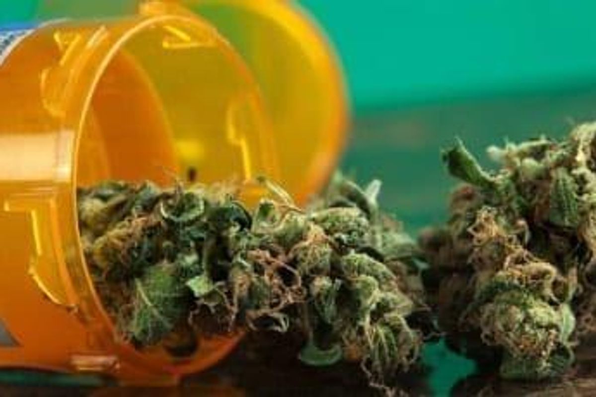 Cannabis Investing