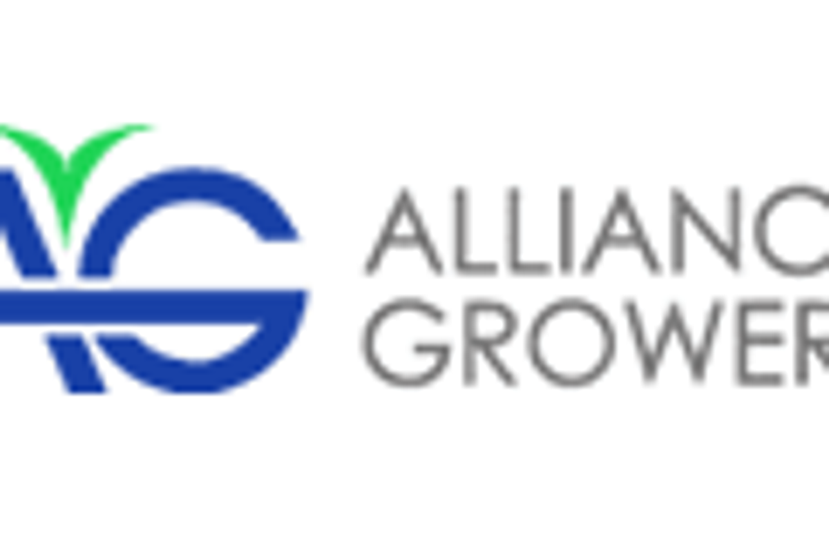 Cannabis Investing