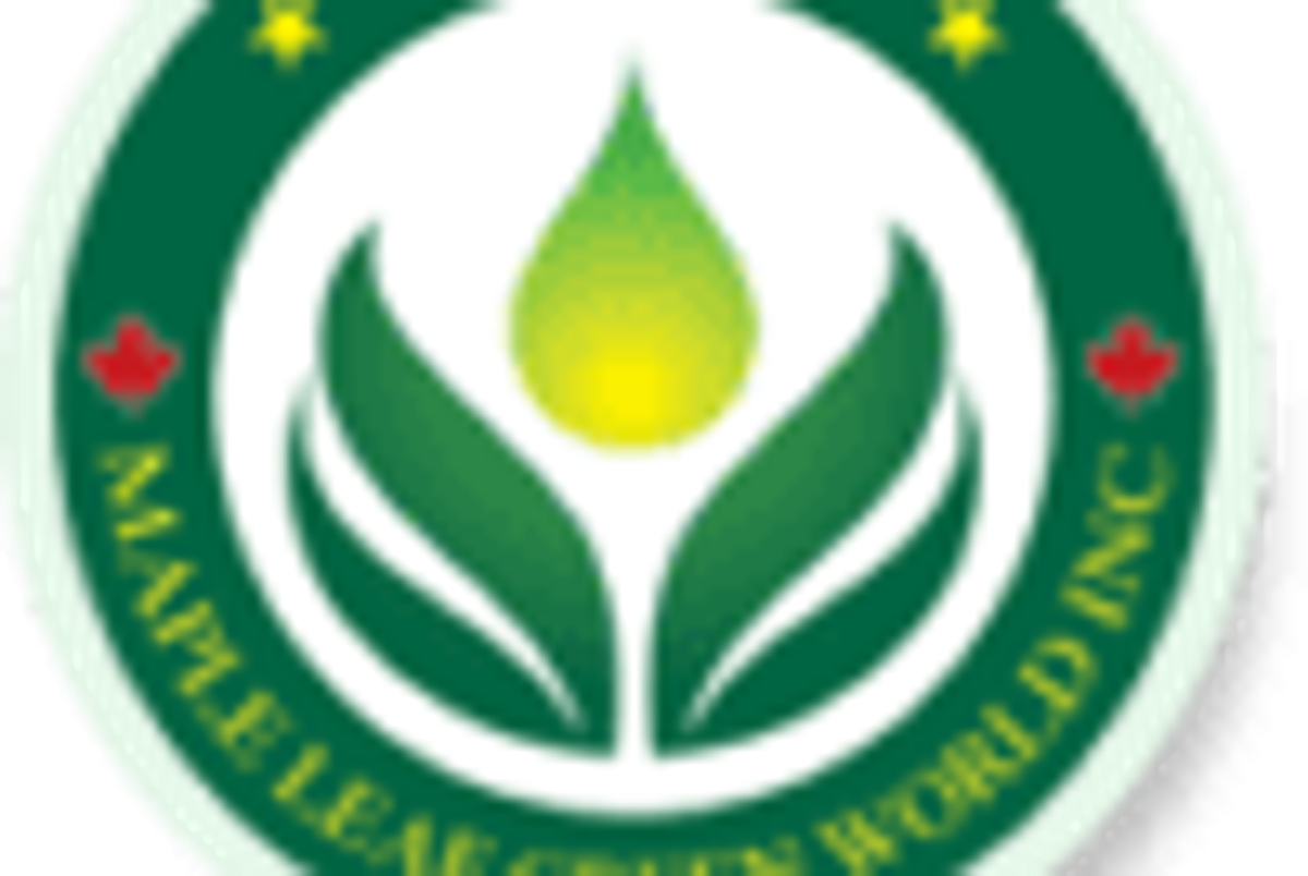 Cannabis Investing