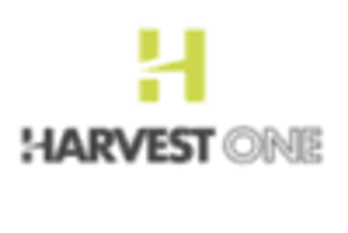 Cannabis Investing