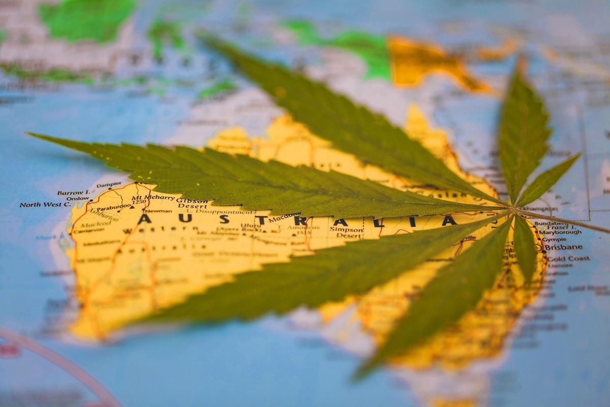 Cannabis leaf over map of Australia.
