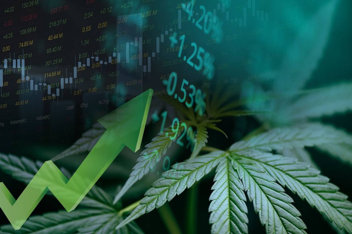 Cannabis leaf with stock market data and upward green arrow overlay.