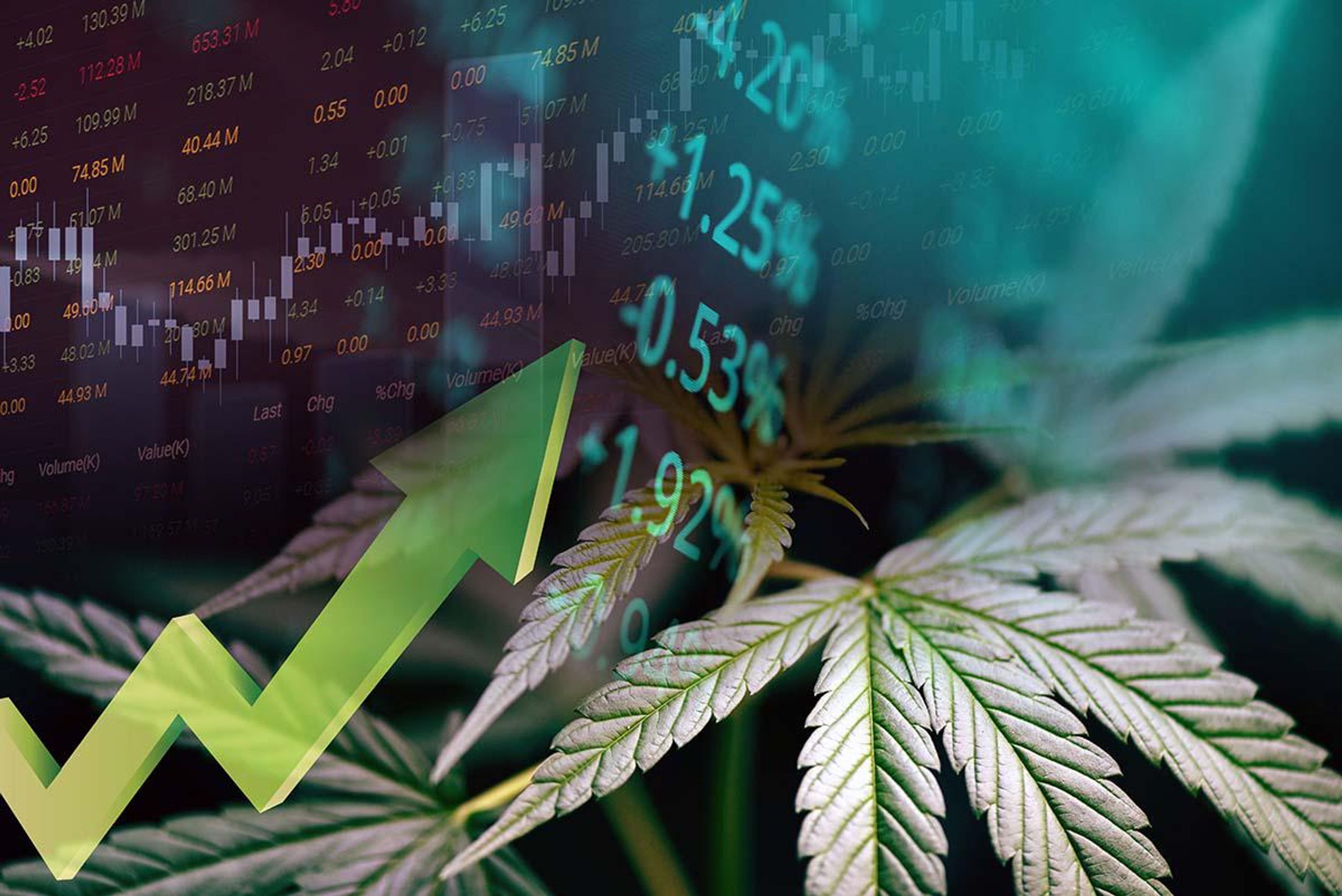 Cannabis leaves and financial performance graphs.