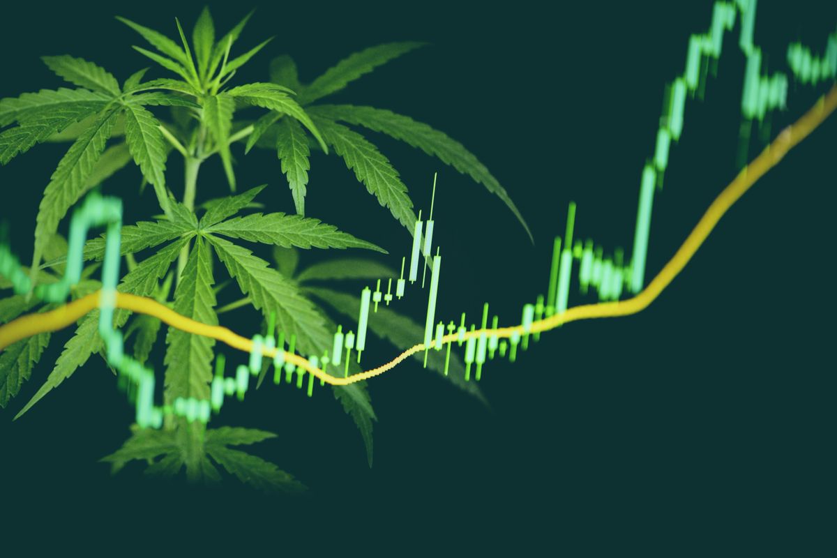 cannabis leaves and stock chart