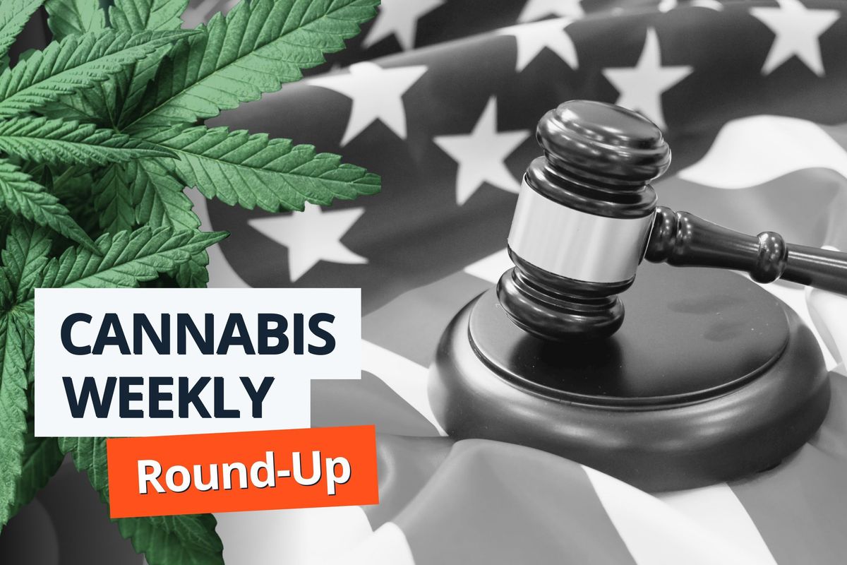 Cannabis leaves, gavel.
