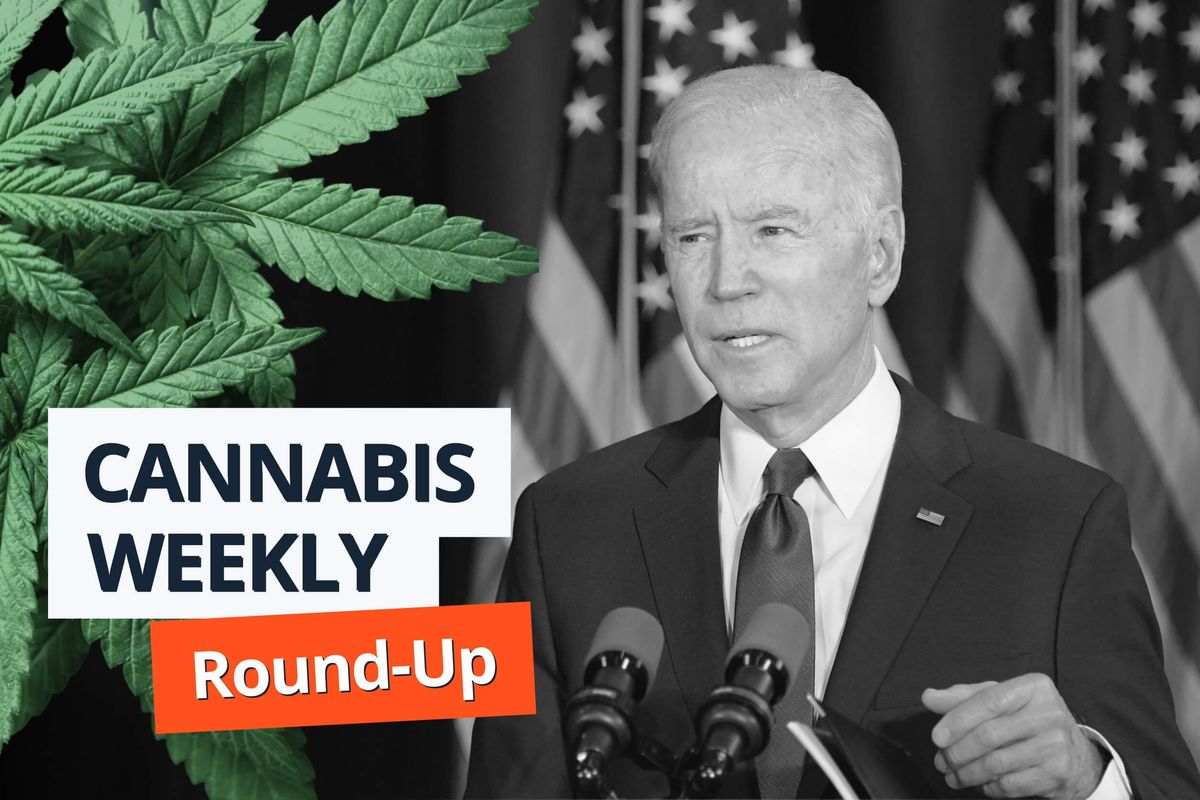 cannabis leaves, joe biden speaking into microphones