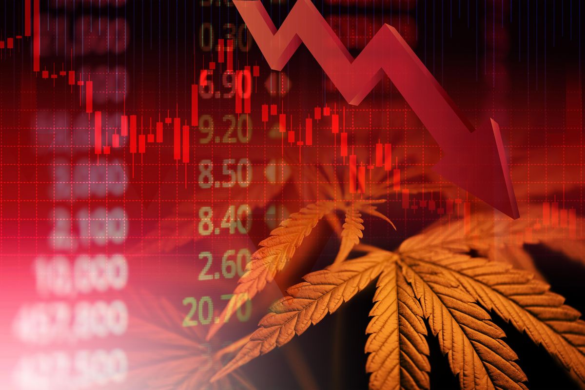 Cannabis leaves over fall stocks chart.