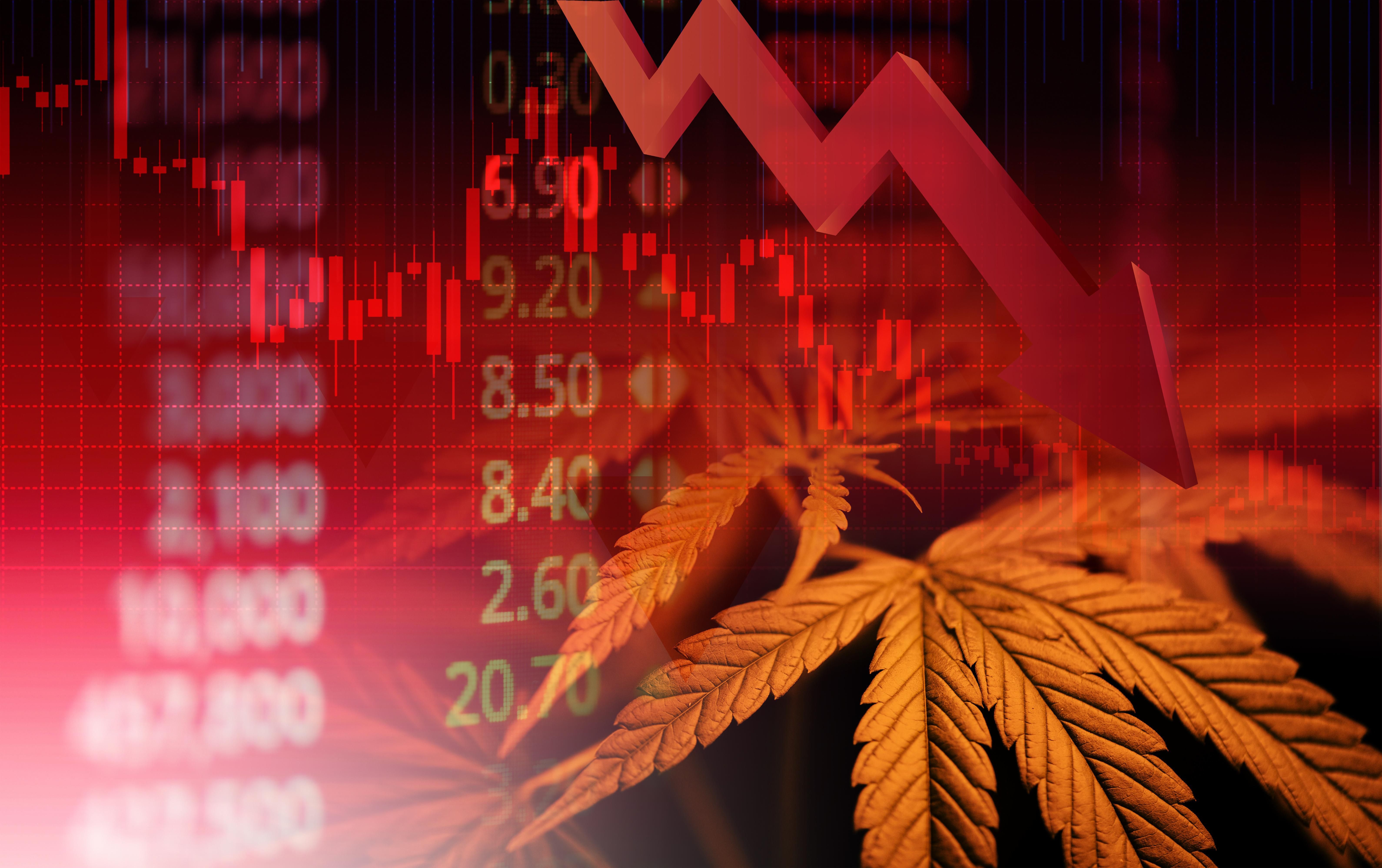 Cannabis leaves over fall stocks chart.