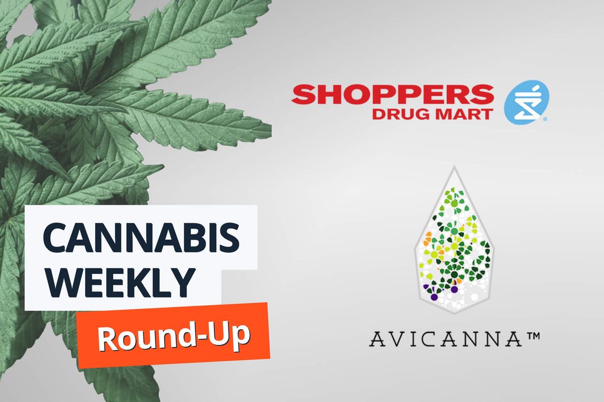 cannabis leaves, shopper drug mart and avicanna logos