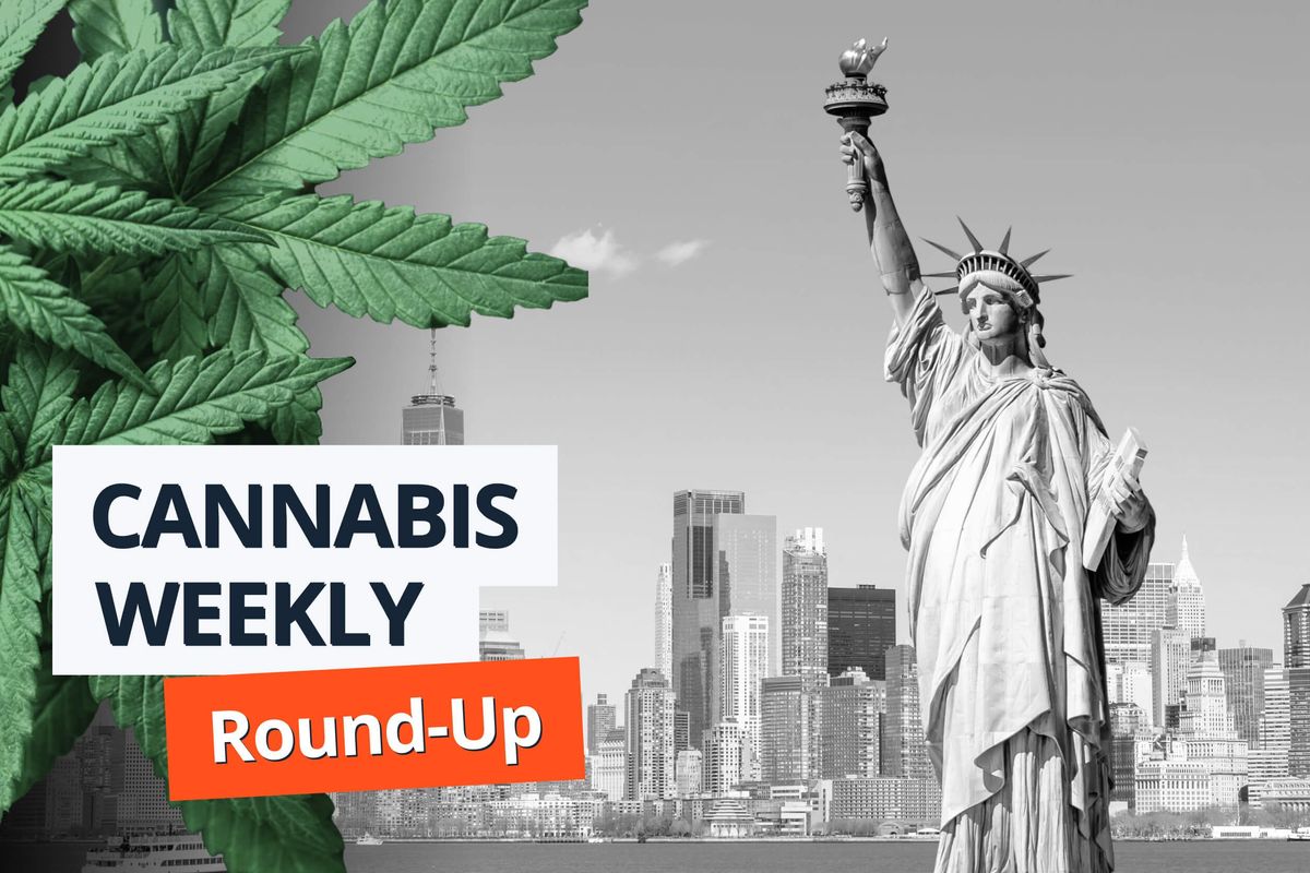 cannabis leaves, statue of liberty