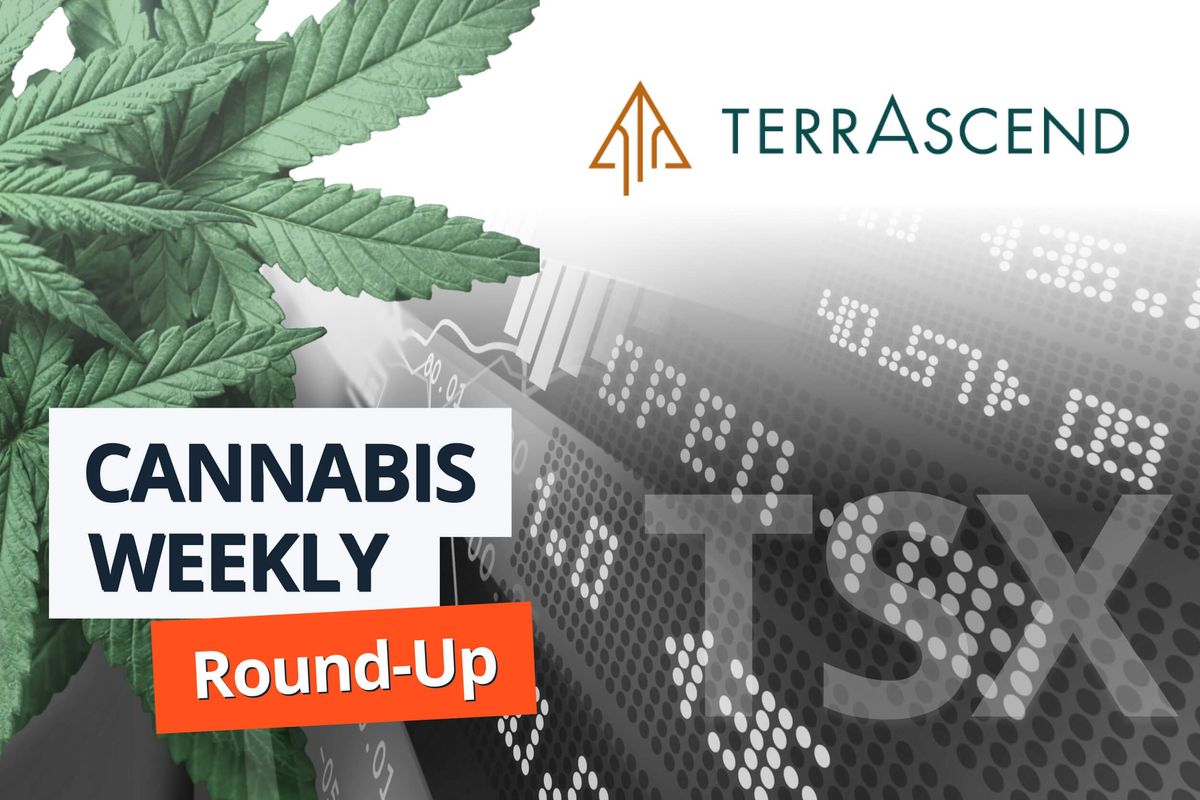 cannabis leaves, stock chart, terrascend logo