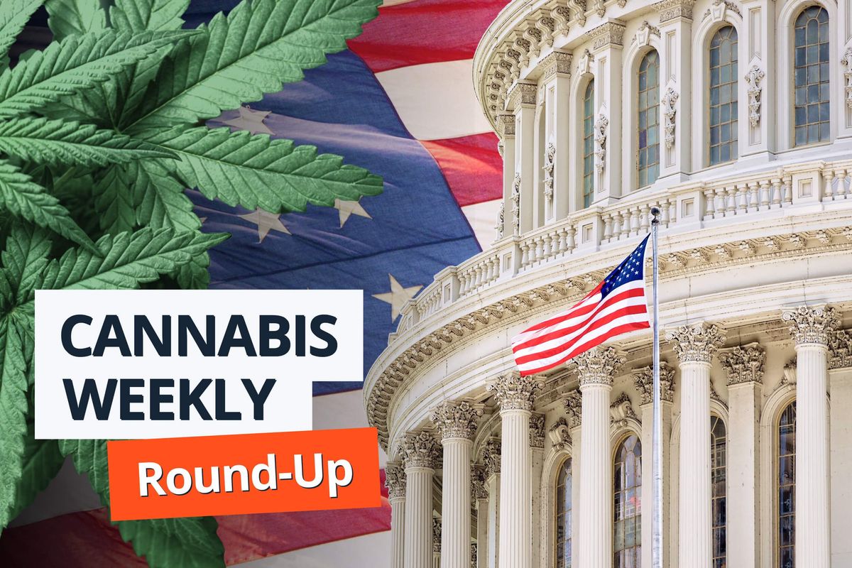 cannabis leaves, us flag, congress building