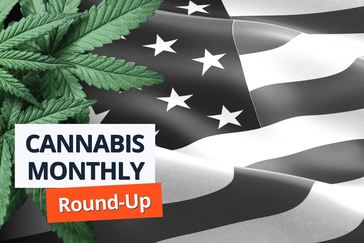Cannabis leaves, US flag. 
