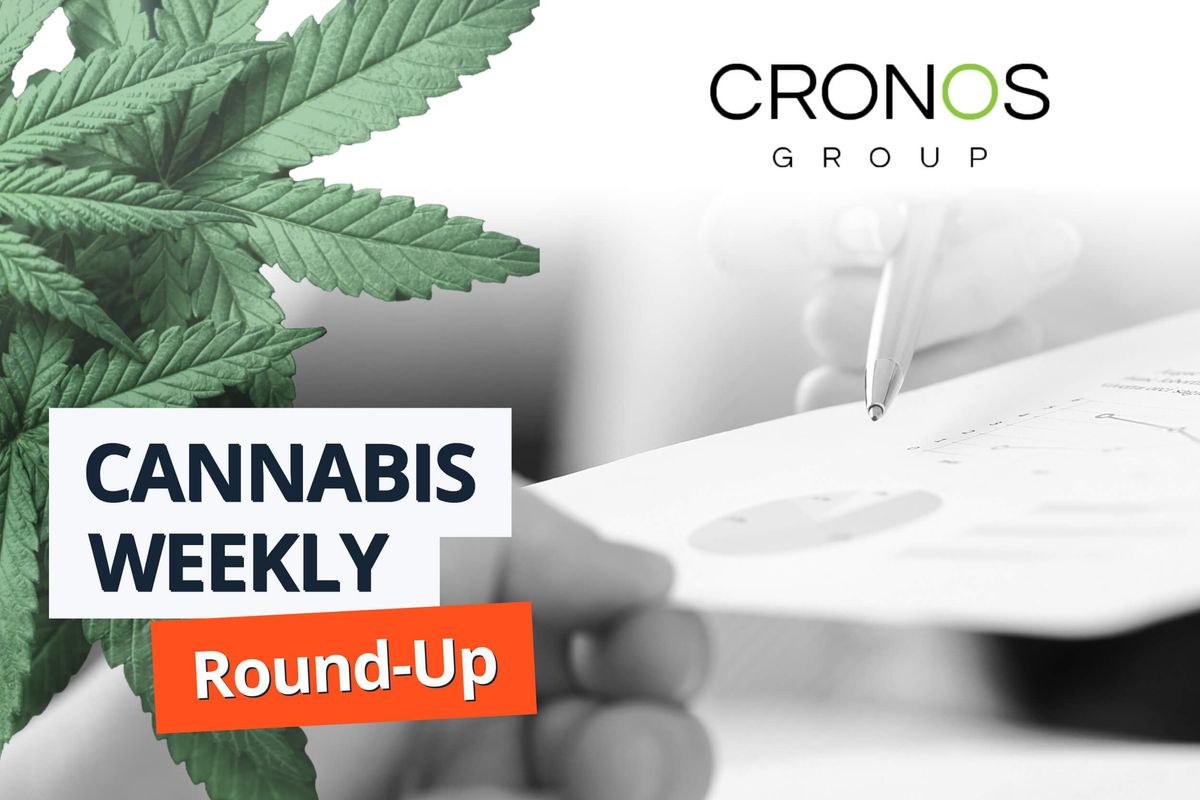 cannabis leaves with cronos group logo