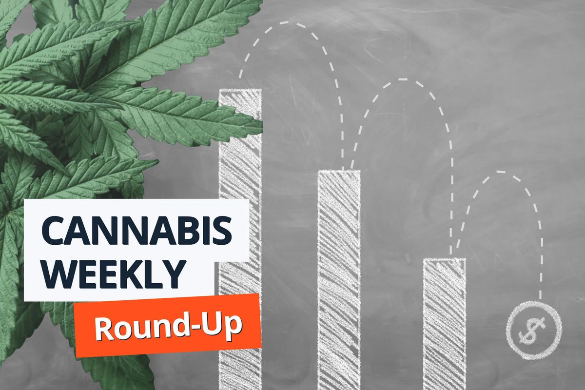 cannabis leaves with downward chart