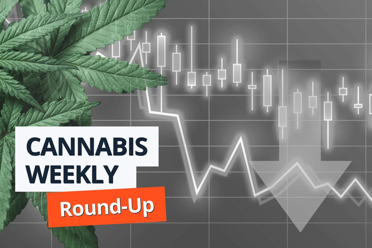 cannabis leaves with stock chart