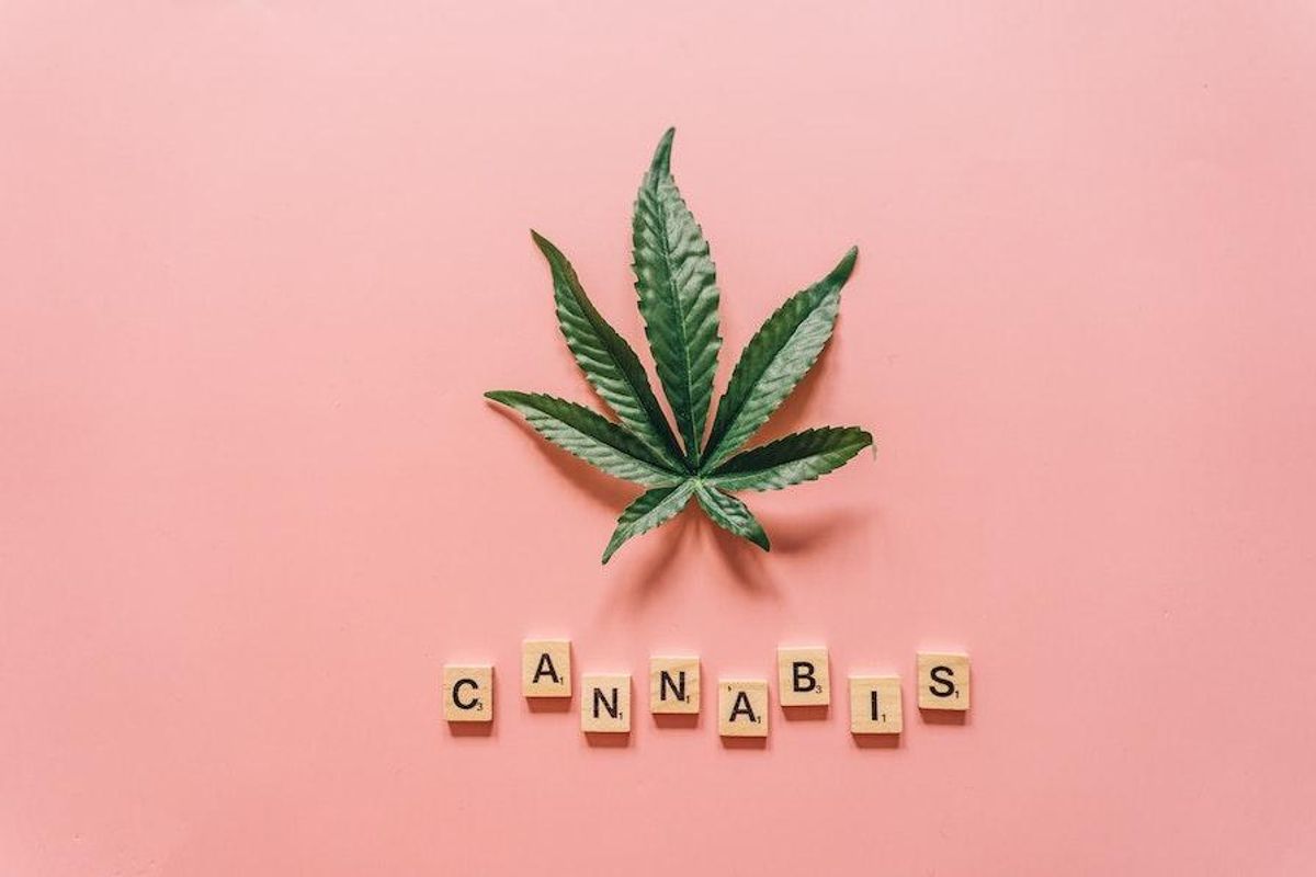 cannabis plant above scrabble tiles that read "cannabis"