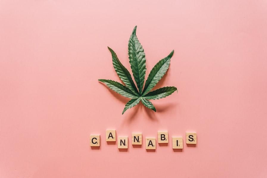 cannabis plant above scrabble tiles that read "cannabis"
