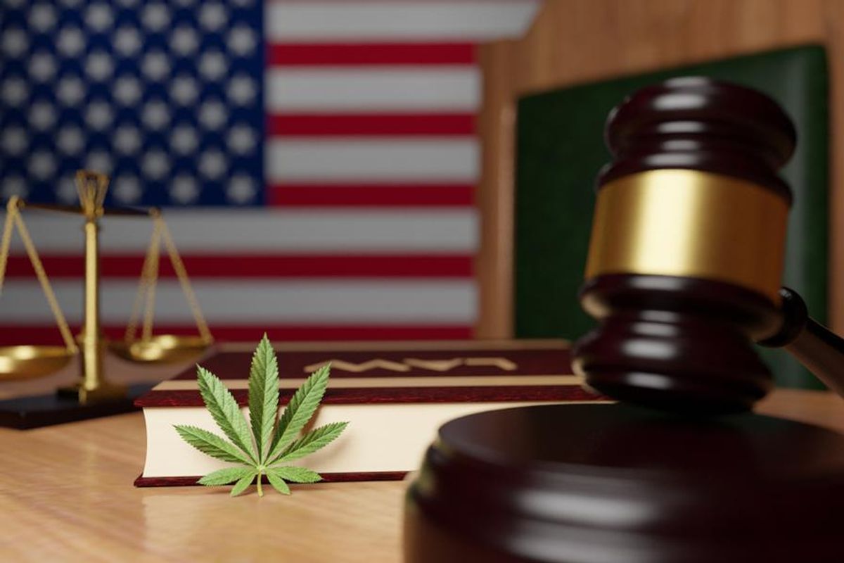 cannabis plant amid legal gavel