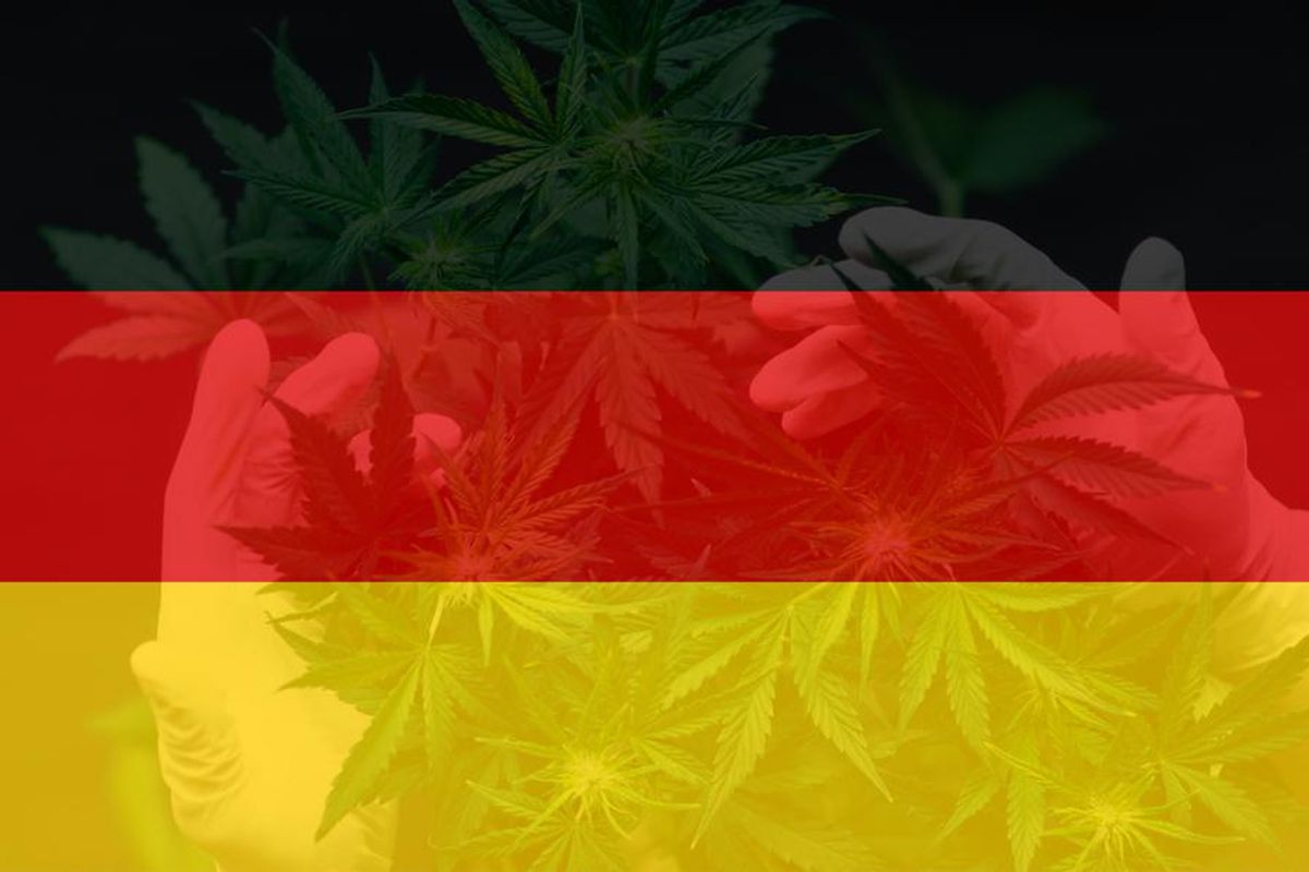 cannabis plant layered with German flag graphic