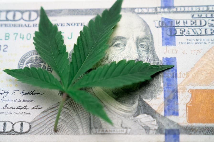 cannabis plant on top of US$100 dollar bill