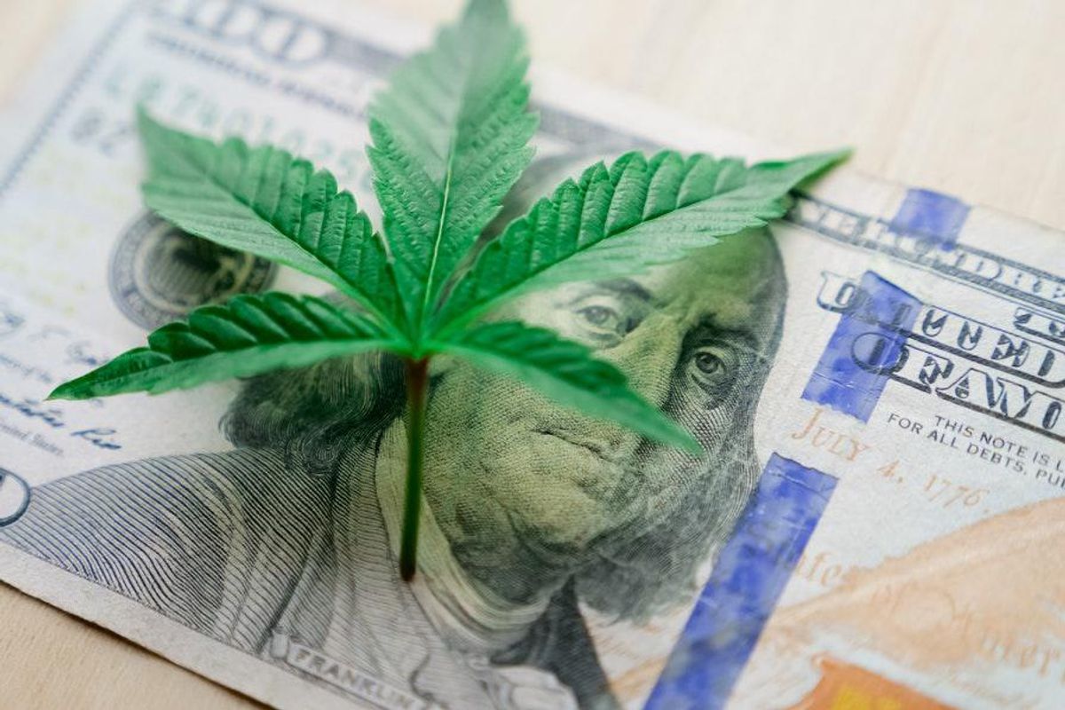 cannabis plant over US$100 bill