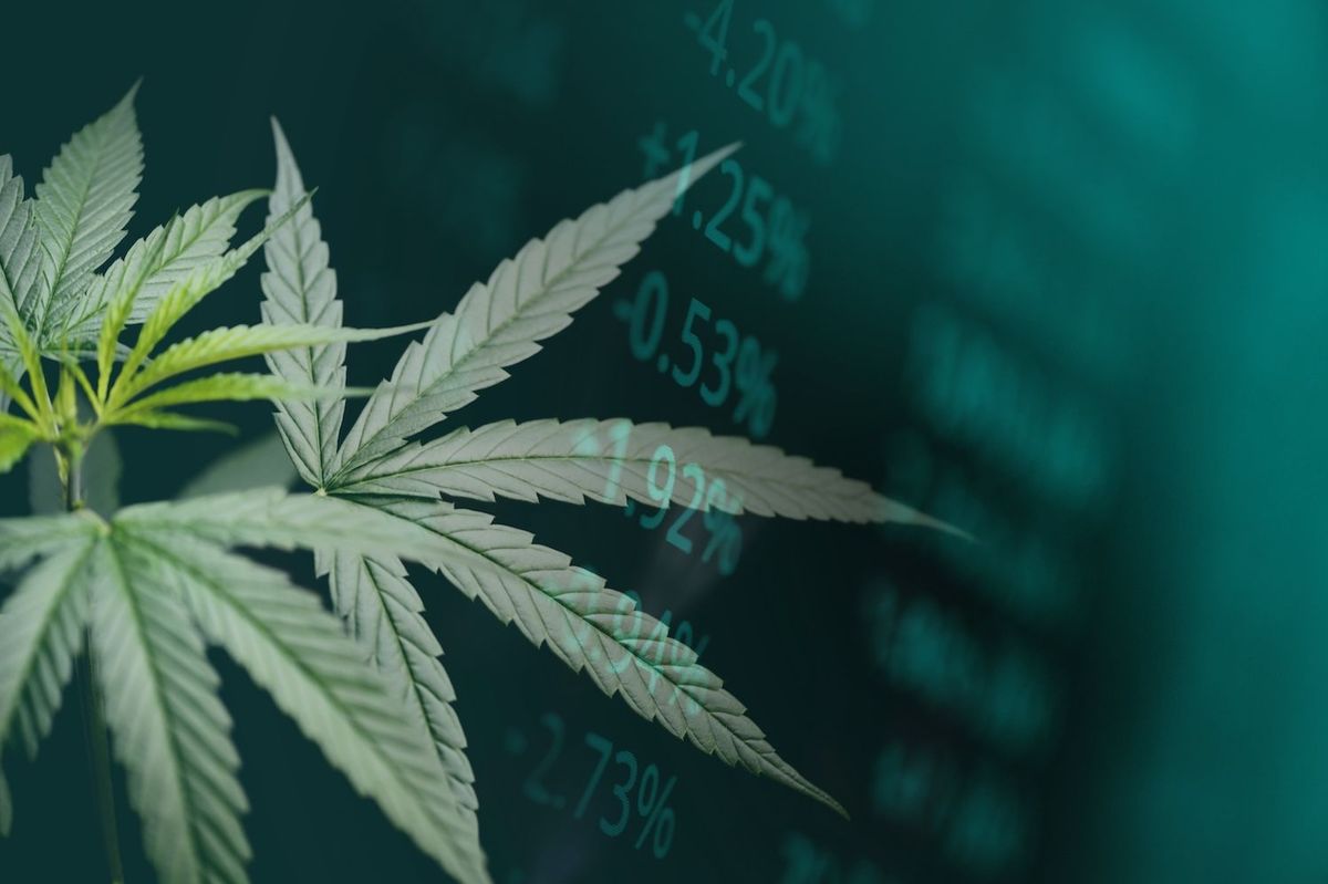 Cannabis plants and a stock chart.