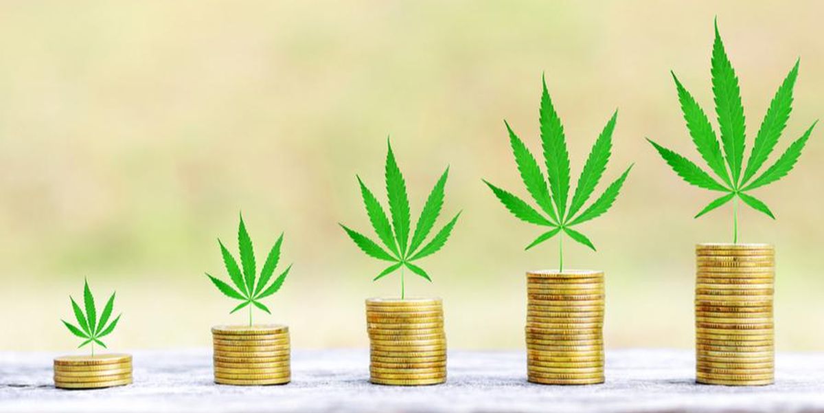 VIDEO — Expert Cannabis Investments Need US Reform in 2022 INN VIDEO — Expert Cannabis Investments Need US Reform in 2022 INN