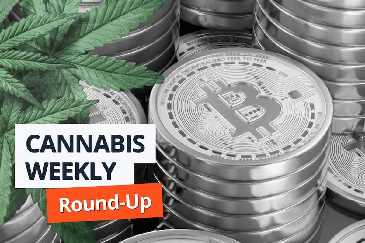 cannabis plants with bitcoin