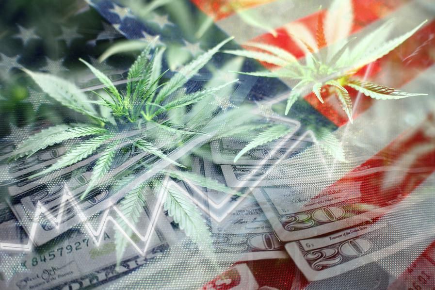 cannabis plants with graphic of US flag and dollars around it