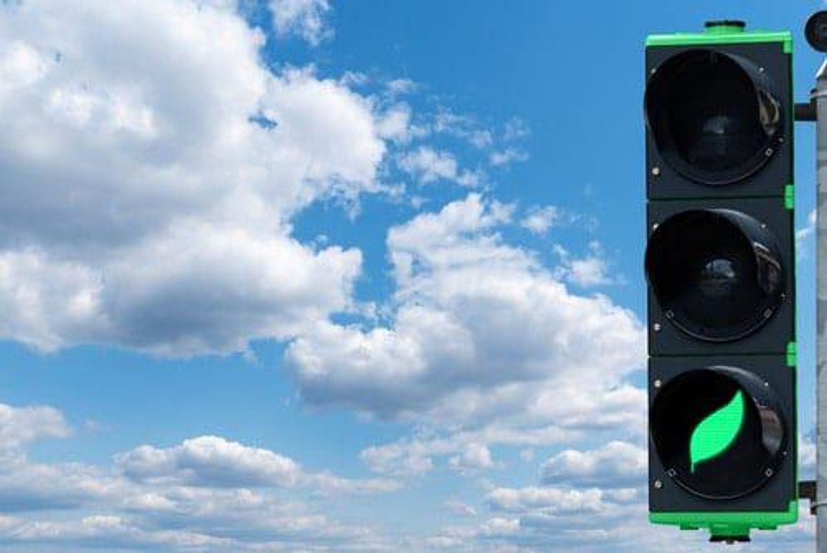 carbon offset stocks