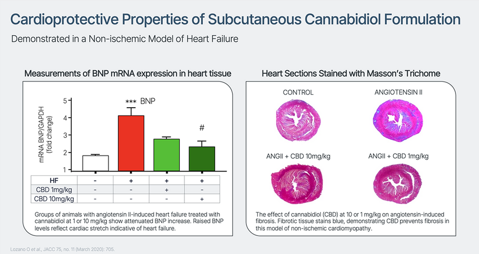 Cardioprotective Properties