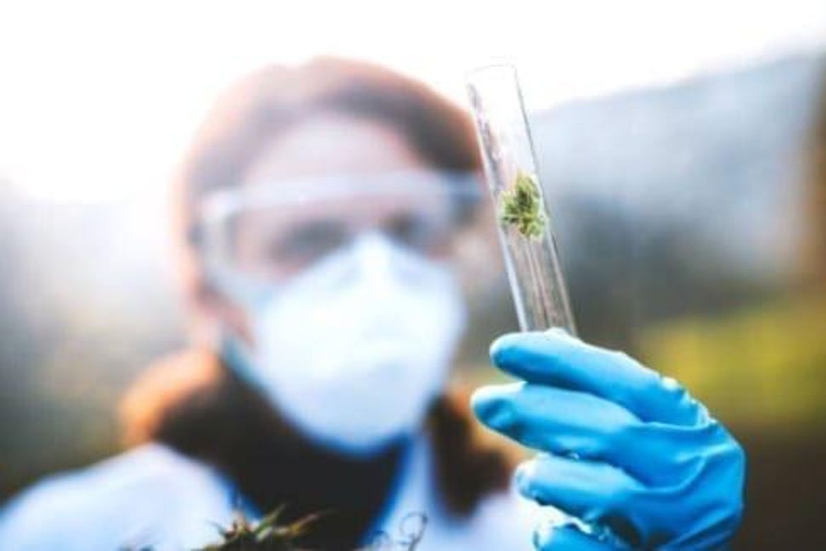 cbd for skin cancer
