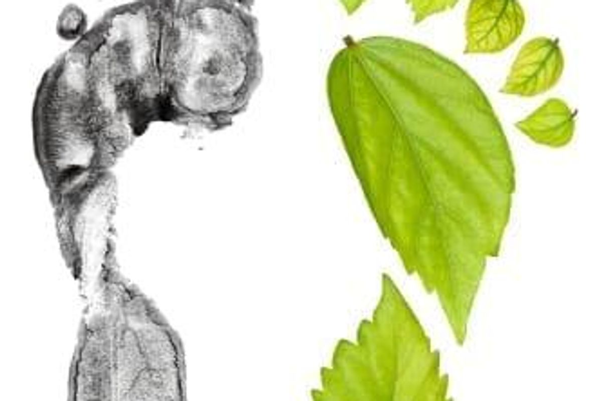 Cleantech Investing