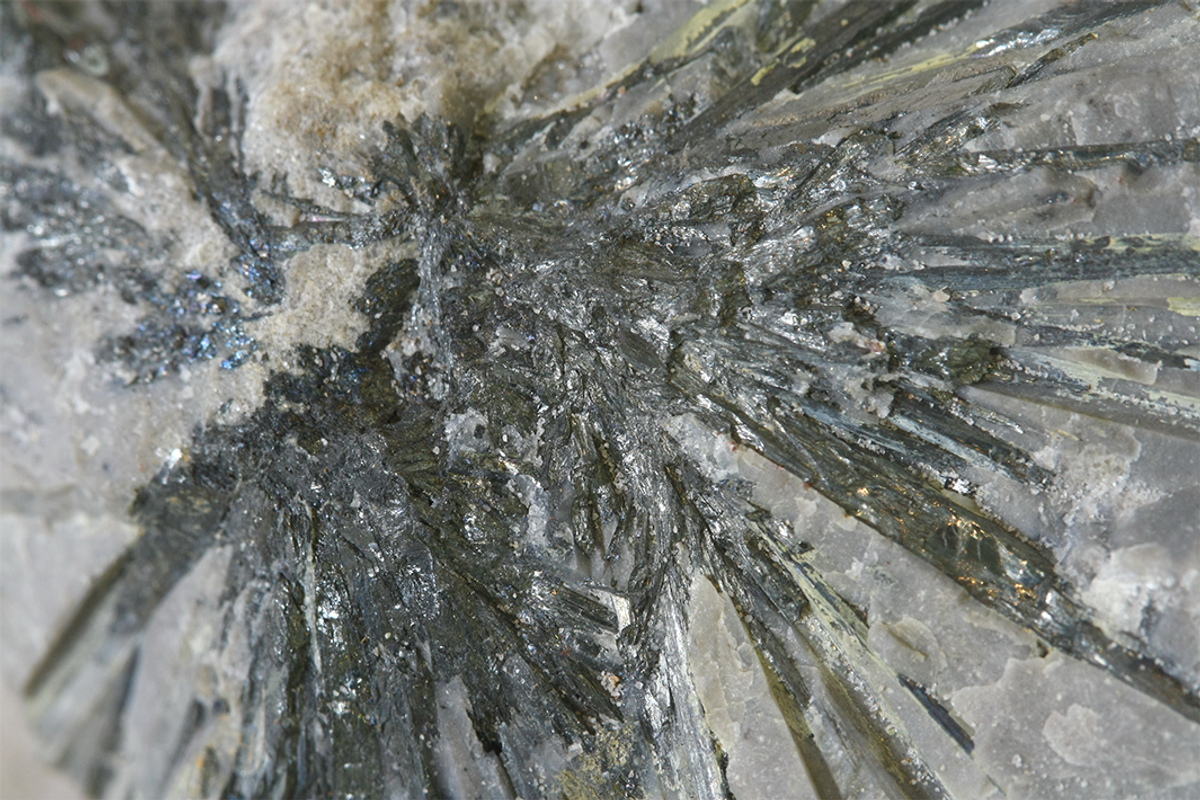 Closeup of fibrous mineral with dark needle-like crystals radiating outward.